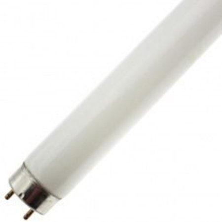 ILC Replacement For LIGHT BULB  LAMP, FL20SW FL20/SW